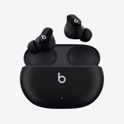 Beats Wireless Buds